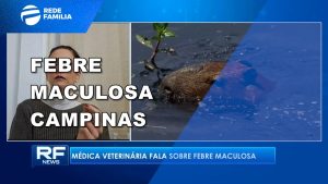 RF News – Febre maculosa, as capivaras não são as vilãs