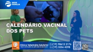 Você sabe as vacinas que seu pet precisa tomar?