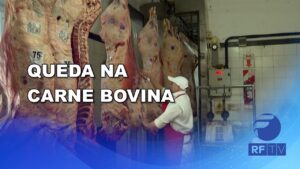 Preço da carne bovina tem maior queda em cinco anos