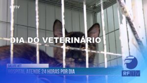 Dia do Médico Veterinário