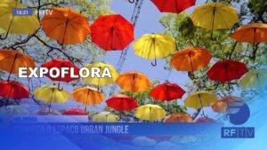 Expoflora: O uso da iluminação em ambientes internos