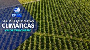 Prejuízos ao setor: Catástrofes climáticas geraram perdas trilionárias ao ‘agro’