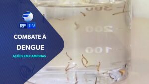 Dengue em Campinas: Saúde fixa mutirões quinzenais e boletins semanais