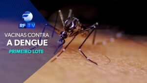 Primeiras vacinas contra a dengue chegam ao Brasil